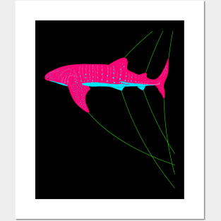 Whaleshark Rhincodon typus Posters and Art